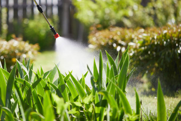 Tamper-Resistant Bait Stations for Rodents in New Hampton