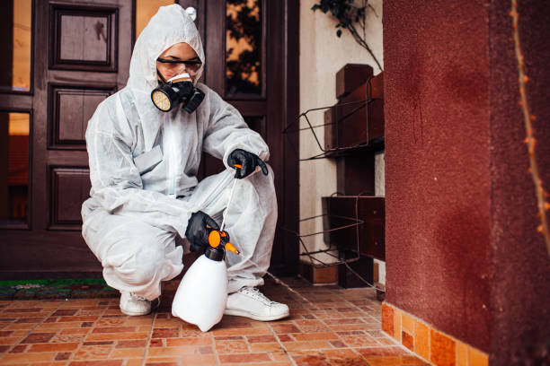 Attic and Crawl Space Rodent Treatment in New Hampton
