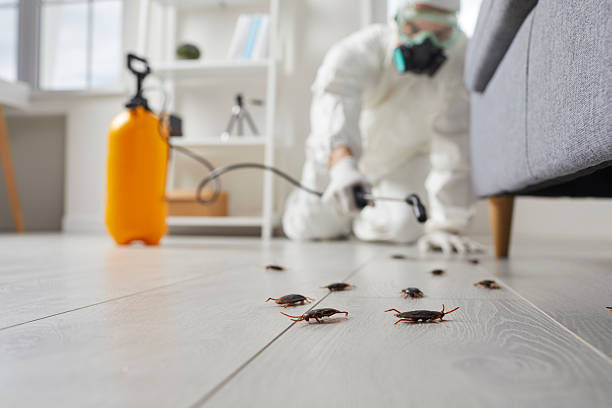 Commercial Rodent Management in New Hampton